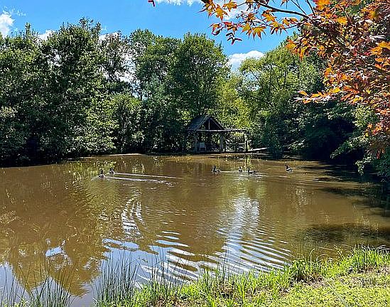 Private Pond and Gazebo