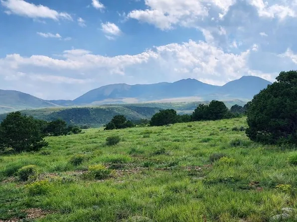 146 Colorado Land Grazing, Gardner, CO 81040