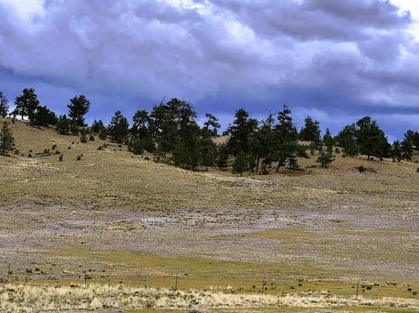 1101 Superstition Trl, Hartsel, CO 80449