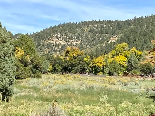 TBD Road 46, Mancos, CO 81328