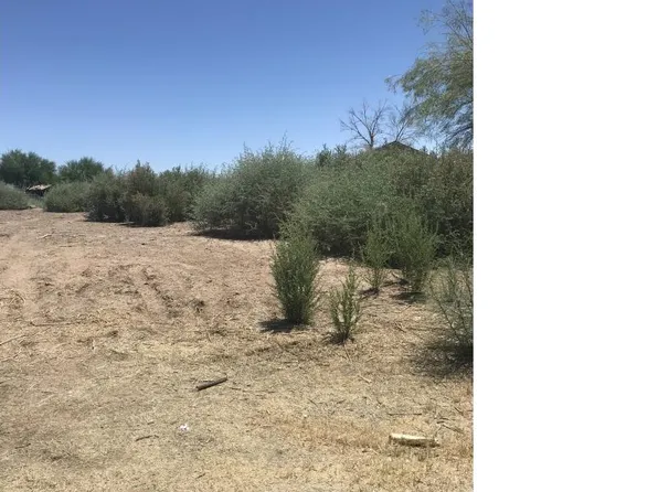 9886 S Prescott Dr, Mohave Valley, AZ 86440