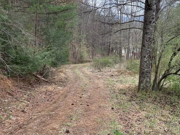 7884 Woolwine Hwy, Woolwine, VA 24185