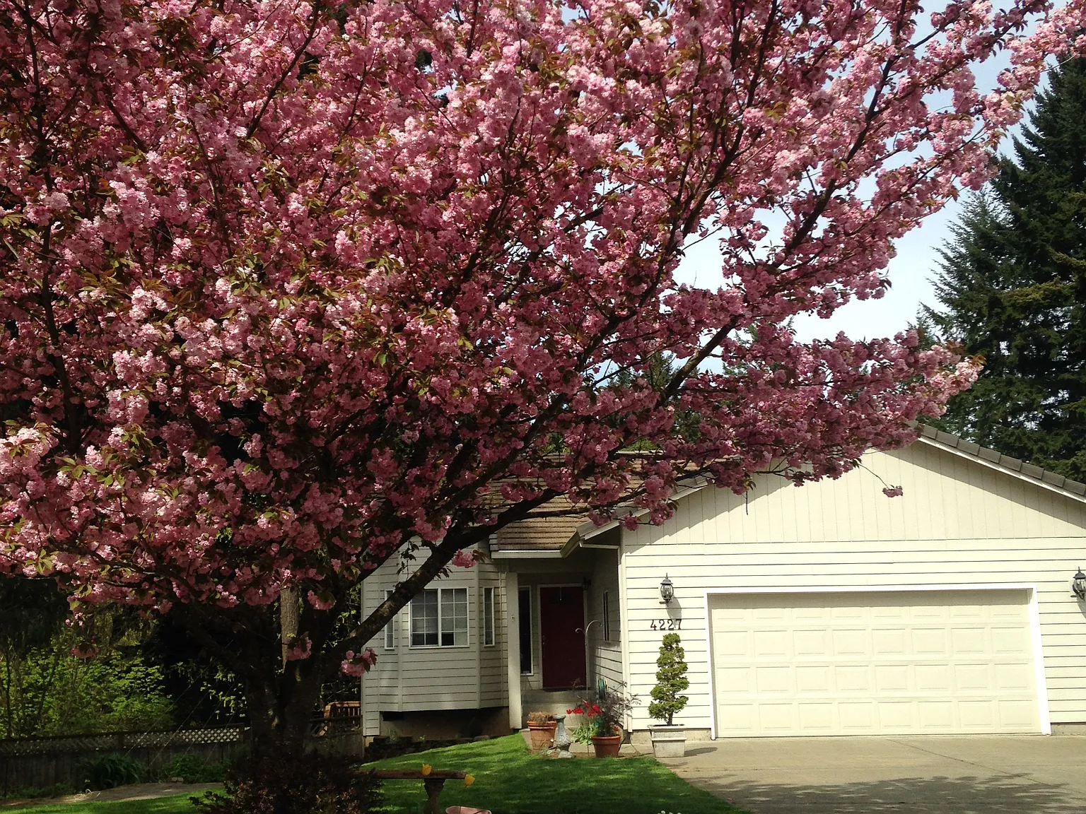 2 bed, 1000 sqft, $2,000 — Photo 1
