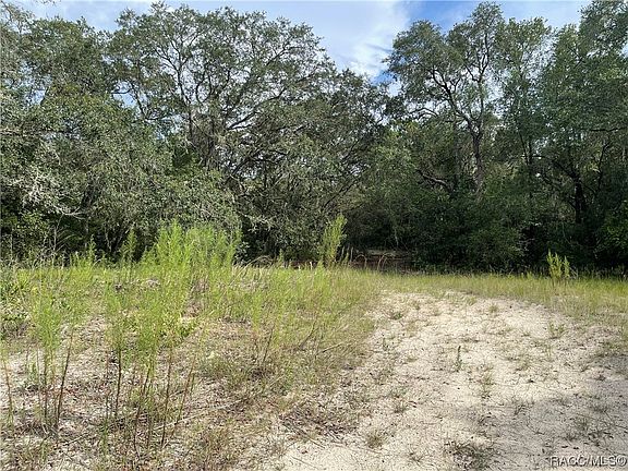 5th image of 6446 N Bluebonnet Dr