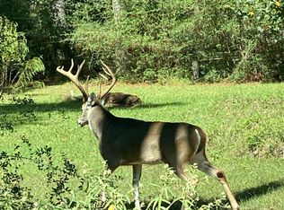 601 N Butch Arther Rd, Coldspring, TX 77331