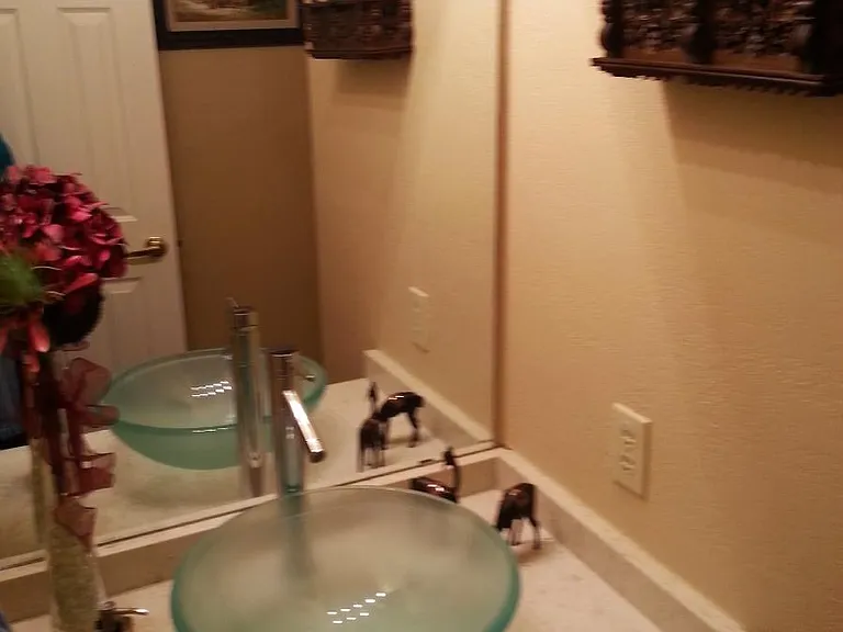 Downstairs Powder Room