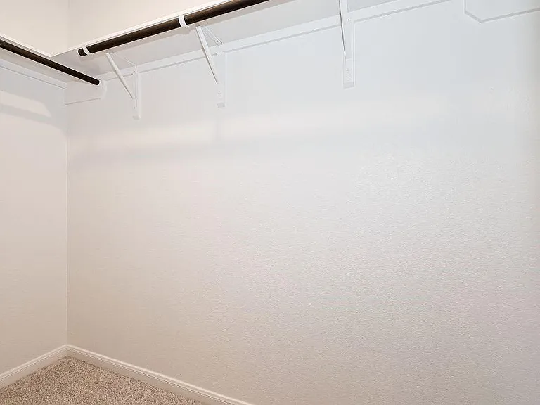 29310 Sweet Orange Ct — Photo 41