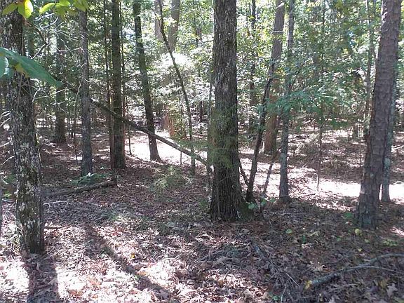 5th image of Grand Isle Dr