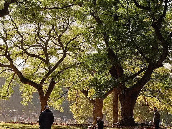 567 Fulton Street image 24 of 25