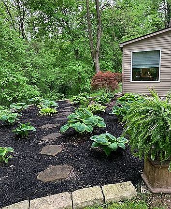 Rear exterior - shade garden
