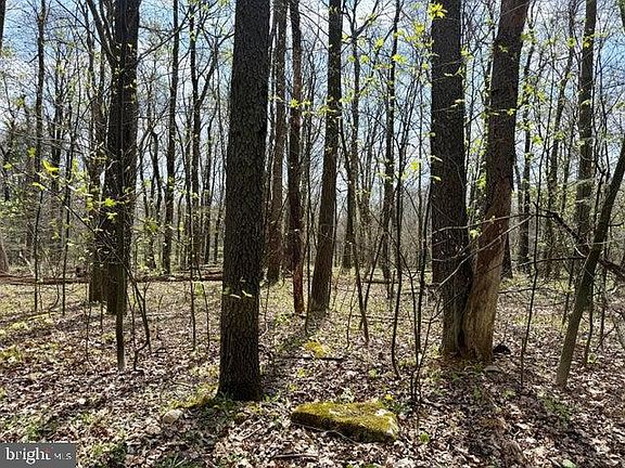 2nd image of 13 Timberman Rd