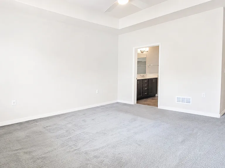 Primary Bedroom (Main Level)