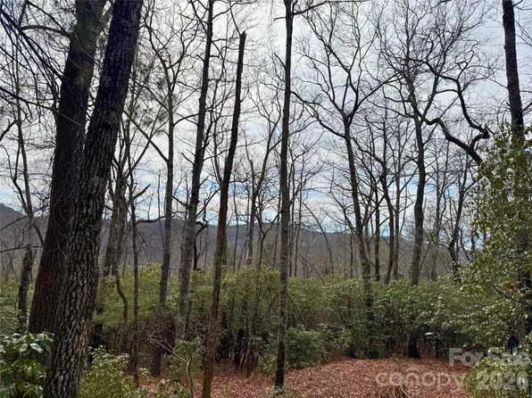 Laurel Thicket Ln, Brevard, NC 28712