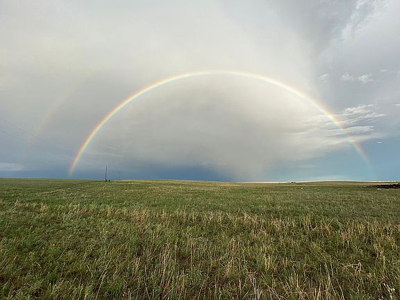 Native prairie grass abounds