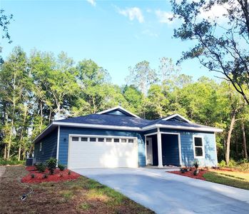 Davis St, Bronson, FL, 32621