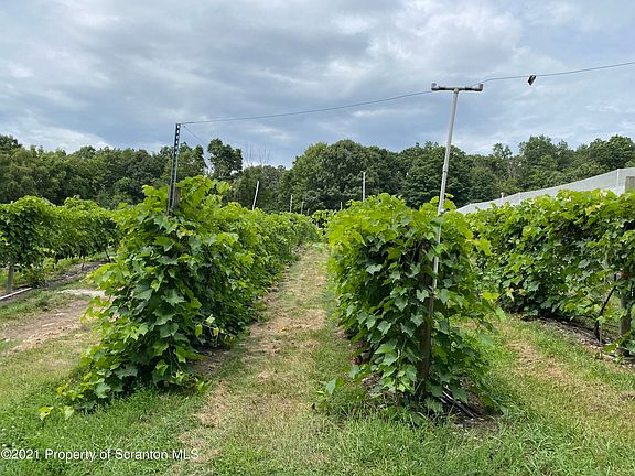 5th image of 296 Vineyard Ln