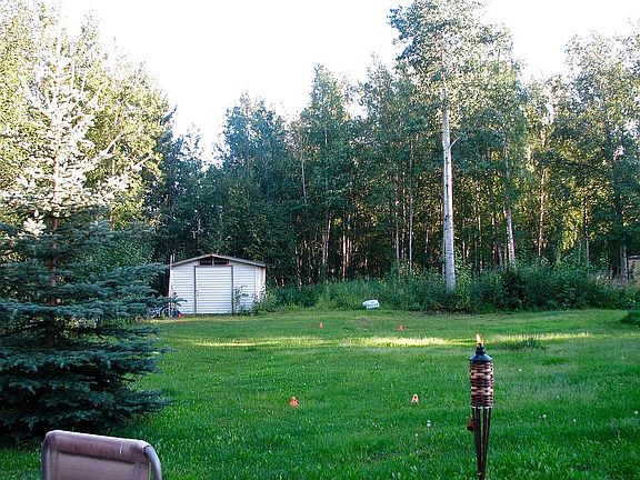 Back yard