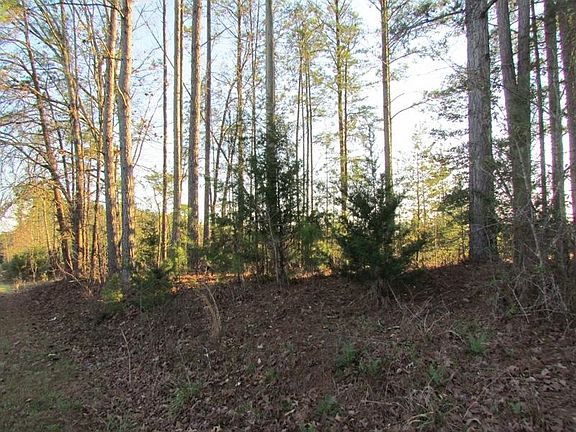 2nd image of 0 Neal Rd