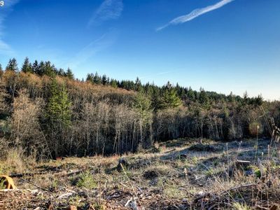 0 NE 149 St, Brush Prairie, WA, 98606