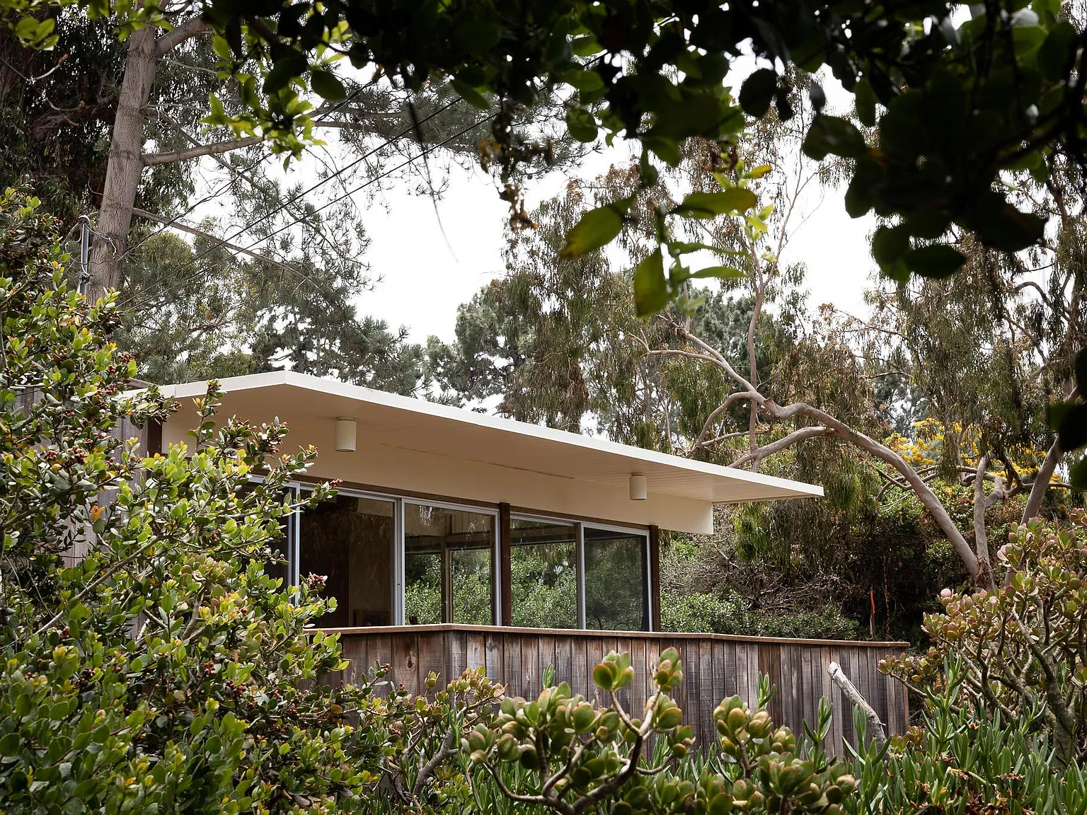 2 bed, 1.5 bath, 1144 sqft, $6,500 — Photo 2