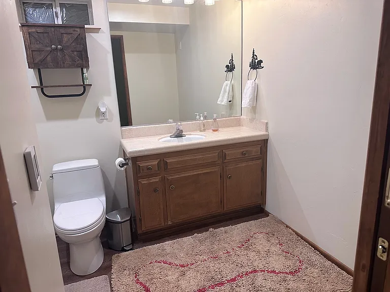 Downstairs Bathroom Suite access through Bedroom