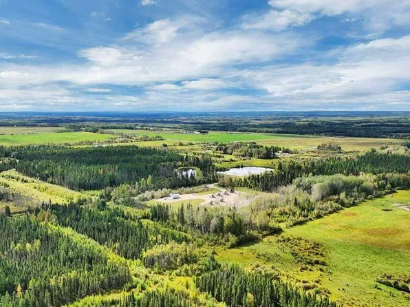 49419 Range Road 85 #B, Brazeau County, AB T0E 1Z0