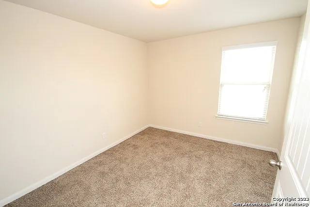 11319 Silver Rose — Photo 39