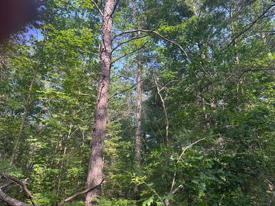 19 Arenoca Dr, Luzerne, MI, 48636