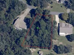 1421 E Saint James Loop, Inverness, FL 34453