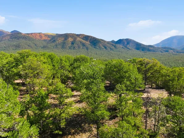 LOT 10 Deer Mesa Rd, Taos, NM 87571