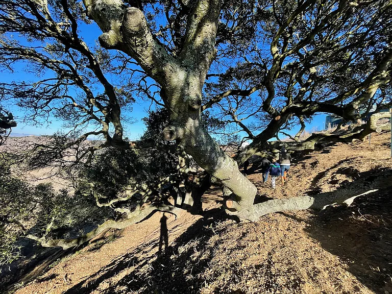 109 Rancho De La Rosa Rd — Photo 22