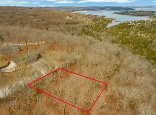 4 Ozark Paradise Vlg, Ridgedale, MO 65739