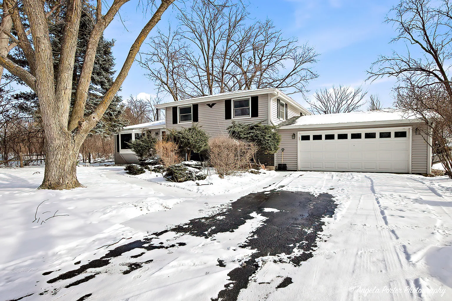 8 E Rollins Rd photo 1