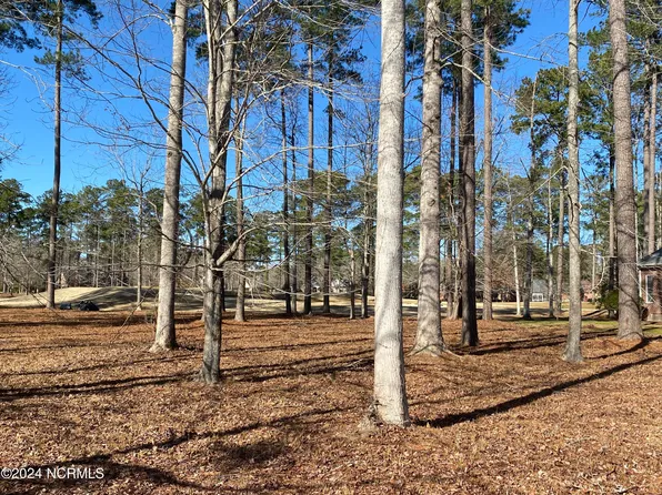 203 Neuse Drive, Chocowinity, NC 27817