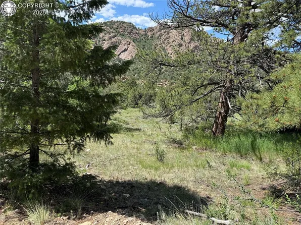 1455 Durfee Cir, Westcliffe, CO 81252