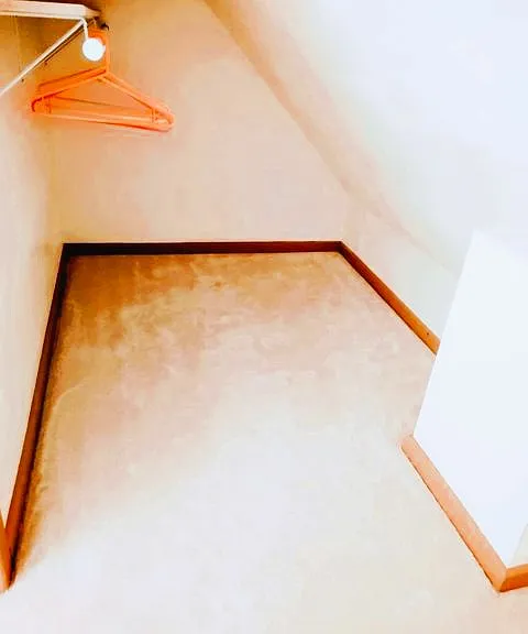 Spacious Guest House Walk-In Carpeted Dressing Closet & Storage in Bedroom