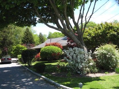  Front driveway