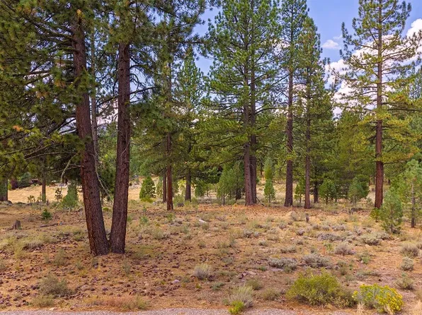 550 Stewart Mc Kay, Truckee, CA 96161