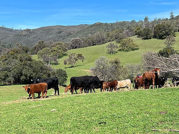 5th image of 1900 Heiser Canyon Rd