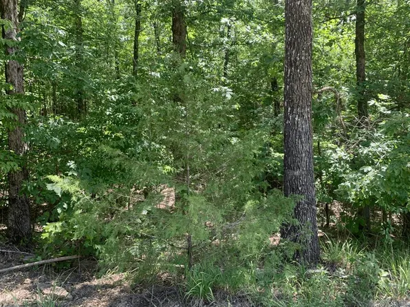 LOT 14 Denby Cove Dr, Mount Ida, AR 71957