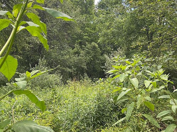 2nd image of W Mountain Trl