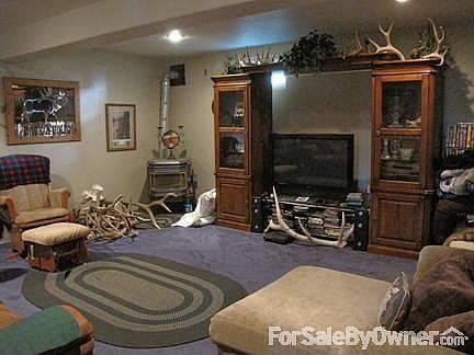 down stairs family room