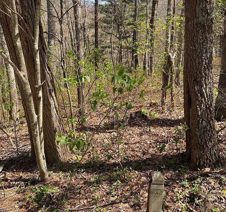 1st image of 40 Craggy Creek Point