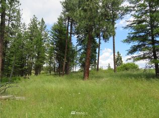 0 W Curlew Lake Rd, Republic, WA 99166