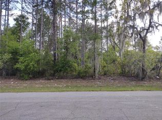 SW 135th Loop LOT 28, Ocala, FL 34473