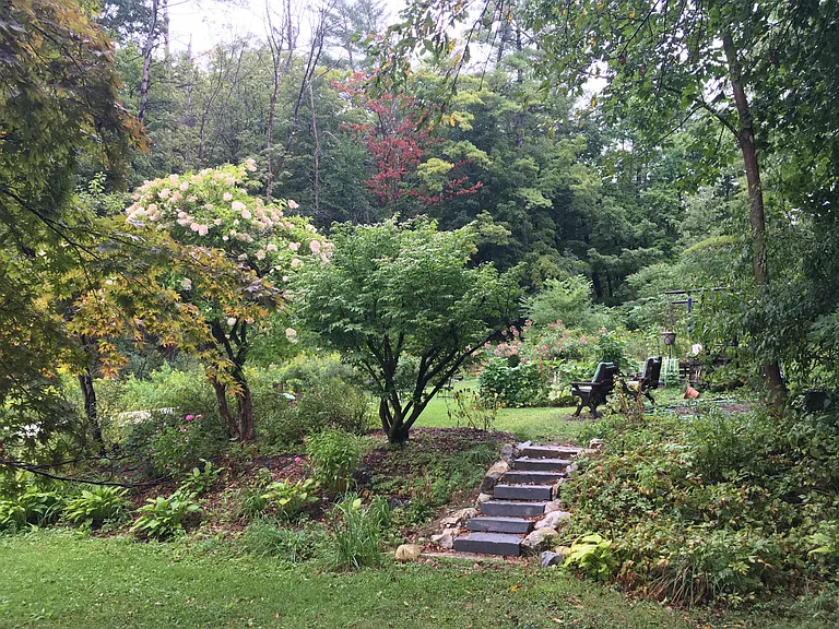 Side yard leading to veggie garden and campfire.