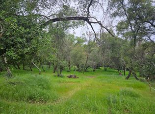 6321 Mr Magpie Ct, Shingle Springs, CA 95682