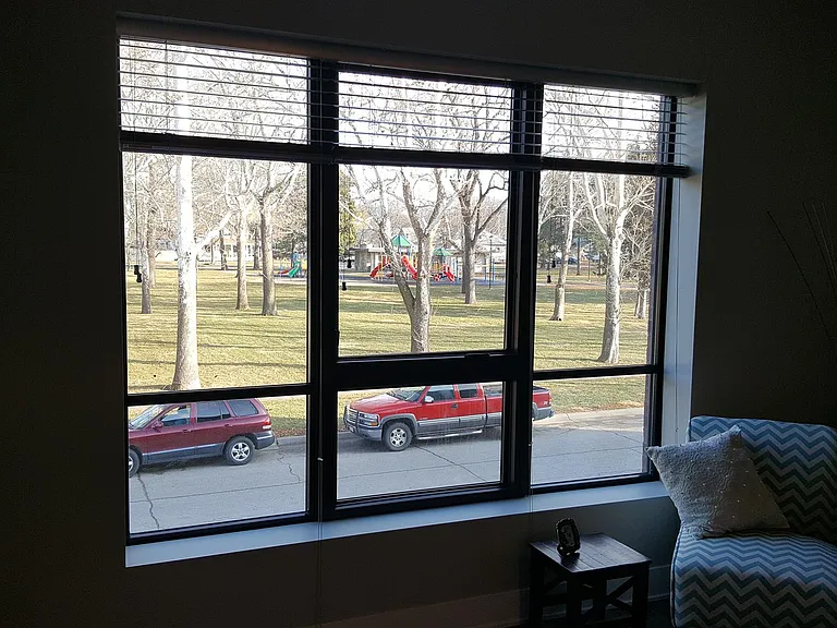 Havelock Park from Living Room