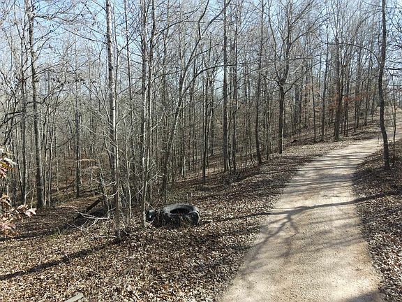 11th image of this home