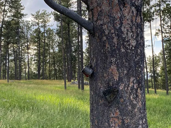 12367 Tin Cup Trl, Custer, SD 57730